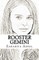 Rooster Gemini