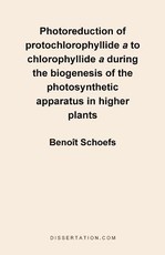 Photoreduction of Protochlorophyllide A to Chlorophyllide a During the Biogenesis of the Photosynthetic Apparatus in Higher Plants
