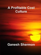A Profitable Cost Culture