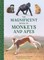 The Magnificent Book of Monkeys and Apes