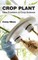 Crop Plant: New Frontiers in Crop Science