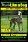 Italian Greyhound, Italian Greyhound Training AAA AKC
