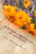 Further Chronicles of Avonlea