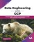 Data Engineering with GCP