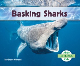 Basking Sharks