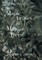 Maple Leaves in Mango Trees