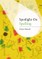 Spotlight on Spelling