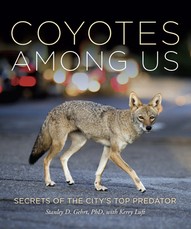 Living with Coyotes
