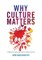 Why Culture Matters