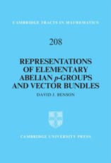 Representations of Elementary Abelian p-Groups and Vector Bundles