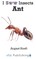 Ant