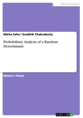 Probabilistic Analysis of a Random Determinant