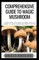 Comprehensive Guide to Magic Mushroom