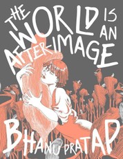 The World Is an After-Image