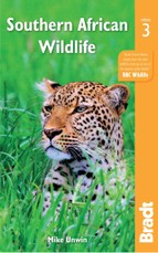 Southern African Wildlife