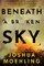 Beneath a Broken Sky
