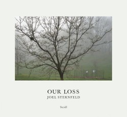 Our Loss