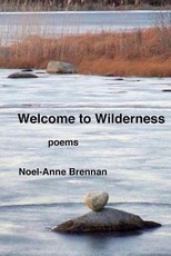 Welcome to Wilderness