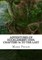 Adventures of Huckleberry Finn, Chapters 36 to the Last