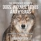 The Difference Between Dogs, Wolves, Foxes and Hyenas | Children's Science & Nature