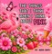 The Things That I Think When I Think about Pink