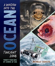 A Window Into the Ocean Twilight Zone
