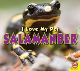 Salamander