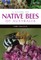 A Guide to Native Bees of Australia