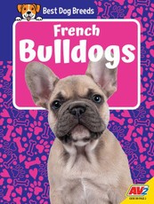 French Bulldogs
