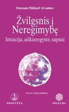 Žvilgsnis į neregimybę