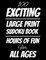 100 Exciting Large Print Sudoku Book