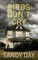 Birds Don't Cry
