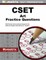 Cset Art Practice Questions