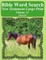 Bible Word Search New Testament Large Print Volume 11