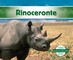 Rinoceronte (Rhinoceros)