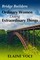 Bridge Builders: Ordinary Women Doing Extraordinary Things