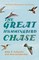The Great Hummingbird Chase