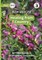 Bush Medicine