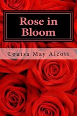 Rose in bloom