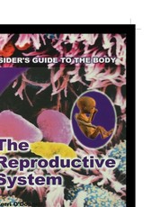 The Reproductive System