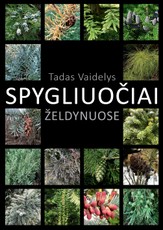 Spygliuočiai želdynuose