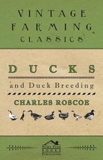 Ducks and Duck Breeding