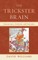 The Trickster Brain