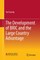 The Development of Bric and the Large Country Advantage