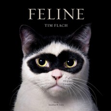 Feline