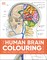 The Human Brain Colouring Book