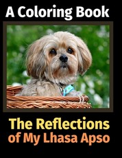 The Reflections of My Lhasa Apso