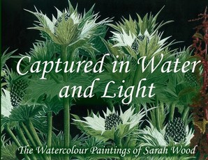Captured in Water and Light