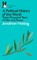A Political History of the World
