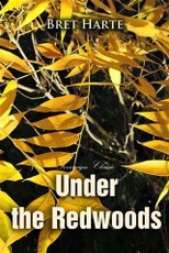Under the Redwoods